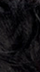 1.0 Intense Black